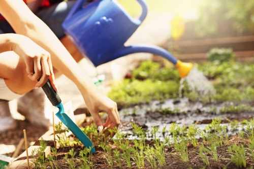 Gardener team working in a Hackney terraced garden