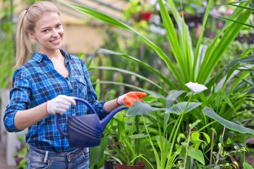Gardener assessing a garden site with clipboard