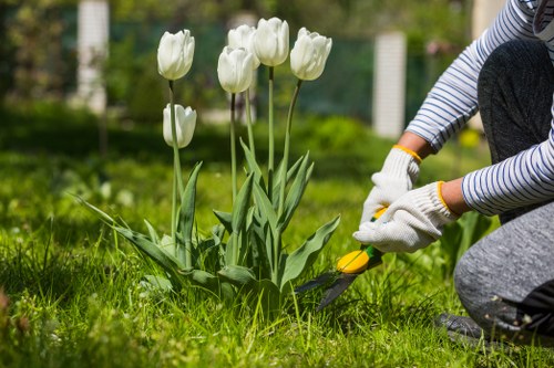 Garden debris being removed by professionals