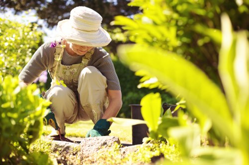 Deck maintenance and repairs in Hackney
