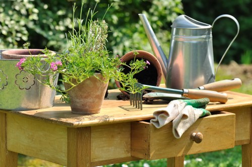 Professional gardeners working on a Hackney garden