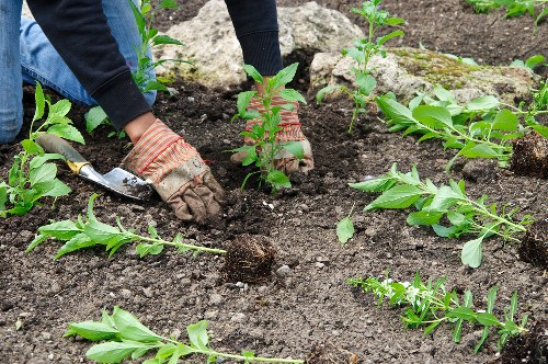 Community garden project in Hackney public space