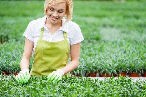 Essential tools for perfect hedge trimming