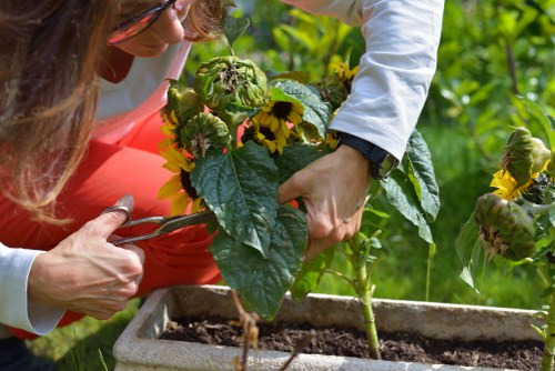 Tool-kit and equipment staged for urban garden service in Hackney